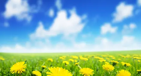 Понеделник ни радва със слънце и топлина