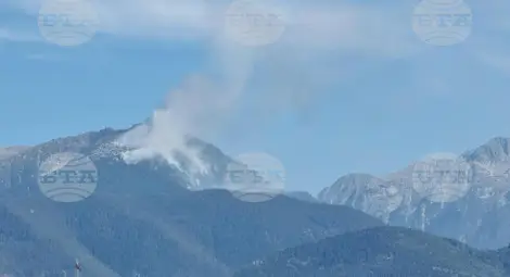 Снимка: БТА