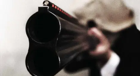 Бивш политик гръмнал улично куче в Мартен?