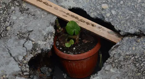 Клон и саксия пазят от дупка в &bdquo;Здравец Изток&ldquo;