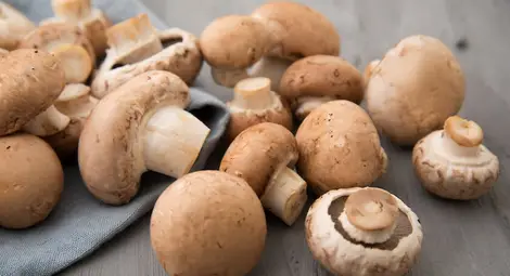 Гъбите &ndash; оръжие срещу старостта и стреса