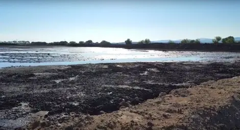 Нефтените утайници край Бургас са екологична бомба със закъснител, смятат бургазлии