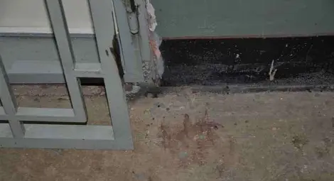 Петно и косми пред вратата на изчезналата Мелиса усъмнили съседи