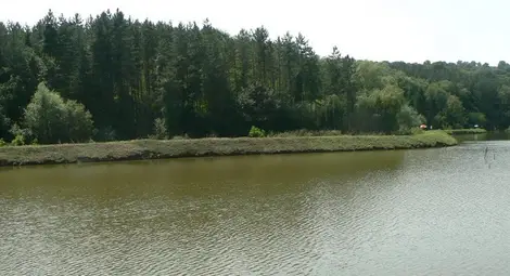 Започна проверка на язовирите в Русенско Започна проверка на язовирите в Русенско