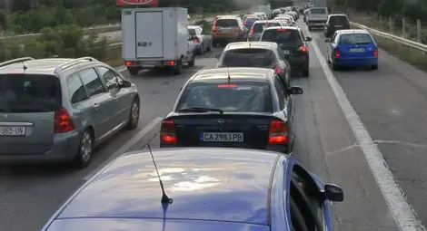 Зверовете на пътя с гражданска за 415 лв.