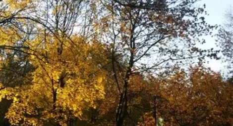 Топло време днес &ndash; температурата скача до 16 градуса