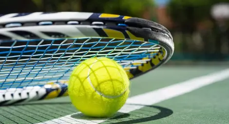 Неканен гост прекъсна мач от тенис турнира в Маями (ВИДЕО)