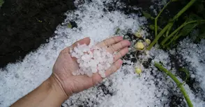 Щетите от градушката растат - поразени са над 15 000 декара