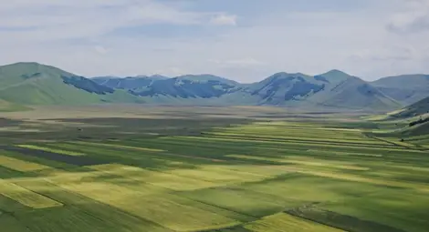 Фондове за земеделска земя носят  близо 200% доходност за три години