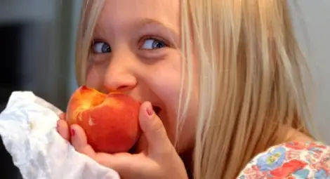 Одобриха първите кандидати по схемата „Училищен плод“ Одобриха първите кандидати по схемата „Училищен плод“