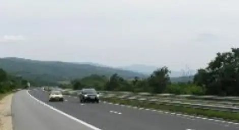 Изкореняват 130 ореха край пътя за Македония