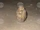 Силно корозирала ръчна граната е открита при изкопни работи в двор в село Черни връх, община Бургас