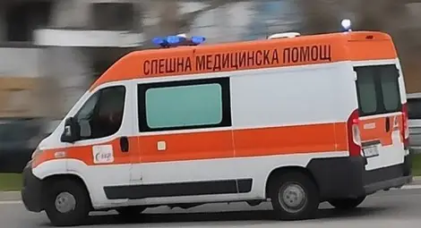 Възрастен шофьор и спътникът му загинаха в катастрофа заради отнето предимство Възрастен шофьор и спътникът му загинаха в катастрофа заради отнето предимство