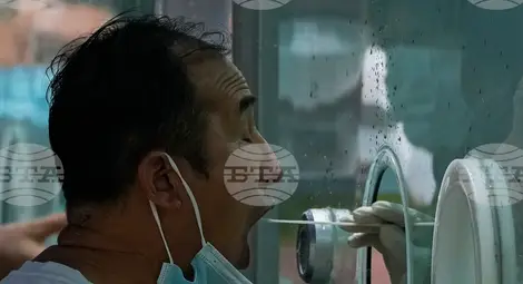 Снимка: БТА