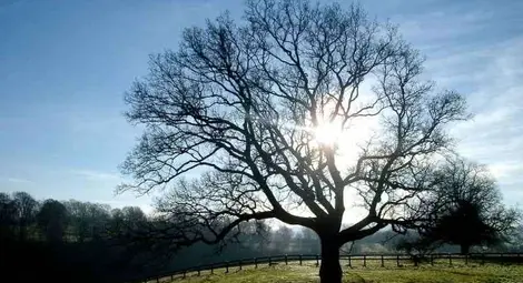 Прогноза за времето за 8 ноември 2012 г.