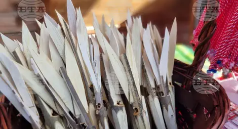 Снимка: БТА Снимка: БТА