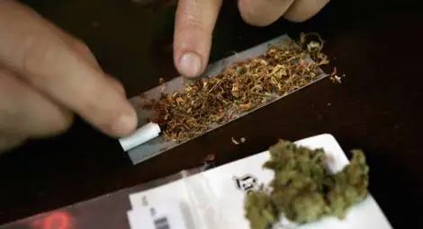 Всеки четвърти ученик смята марихуаната за безобидна