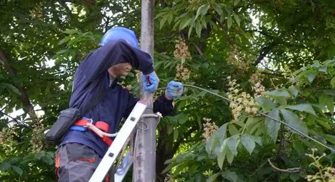 &bdquo;Нетуоркс&ldquo; и строителният контрол подновиха играта на котка и мишка