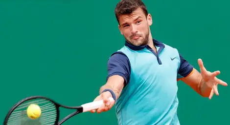 Григор Димитров напусна контузен турнира във Вашингтон