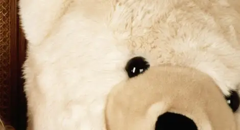 Мъж купи плюшено мече за 500 лева, за да спаси дете