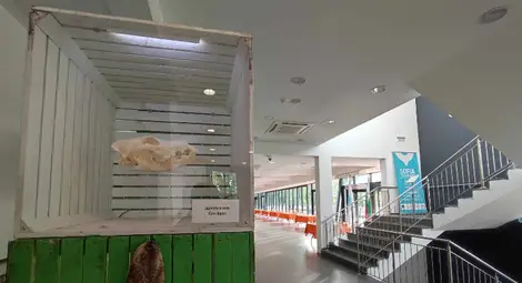 Изложба на русенския музей гостува на Софийския фестивал на науката