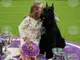 Ризеншнауцер на име Монти спечели голямата награда на Уестминстърското киноложко изложение