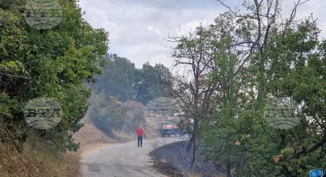 Снимка: БТА Снимка: БТА