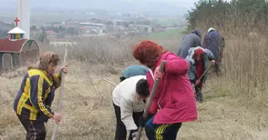 Залесяват Бог баир с борчета, липи и млади тополки