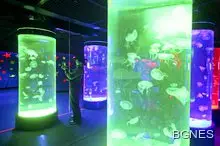 Топ 10 числа според "Тайм"