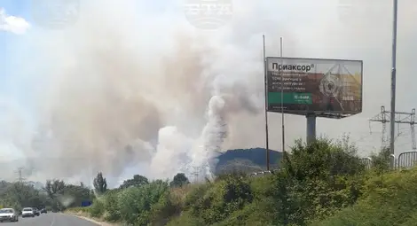 Снимка: БТА