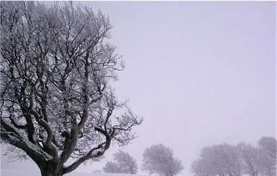 Поредна трагедия: Откриха дядо затрупан от снега в двора му Поредна трагедия: Откриха дядо затрупан от снега в двора му
