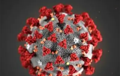 ХИГИЕНА НА ДУШАТА ПРИ ПАНДЕМИЯТА COVID-19*