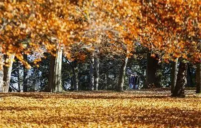 Слънчево и по-топло днес - до 21 градуса