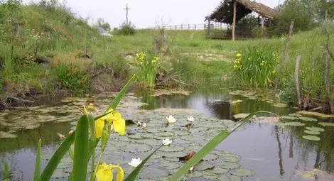 Нова платформа на WWF показва защитените територии