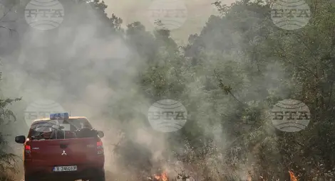 Снимка: БТА