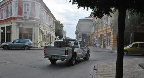 Общината дава 921 000 лева за  битка с комари, кърлежи и бълхи