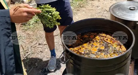 Снимка: БТА Снимка: БТА