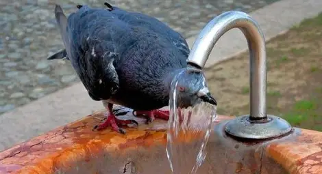 Адска жега и в Румъния, съседите ни се молят за дъжд Адска жега и в Румъния, съседите ни се молят за дъжд