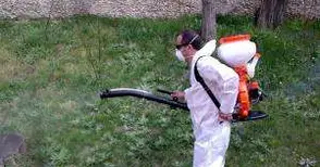 От 3 май пръскат срещу комари