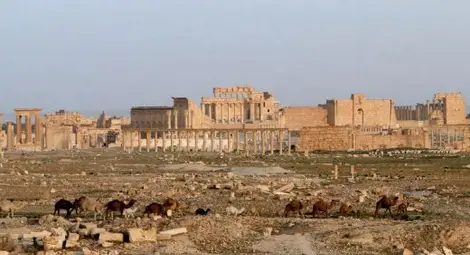 Убитият от ИД археолог на Палмира отказал да каже къде са съкровищата