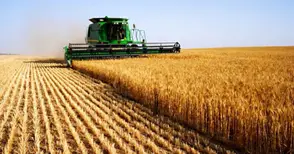 Евросубсидиите не водят до ръст агросектора