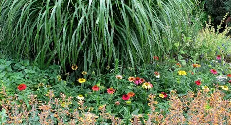 Ароматни билкови градини радват гостите на Албена