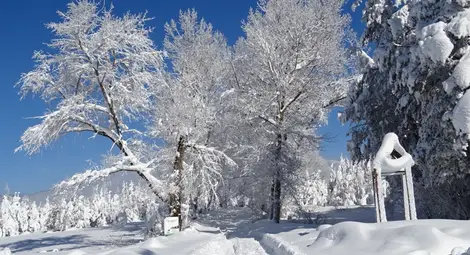 Проходът Предел преобразен, стана още по-красив и бял