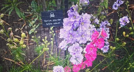 Градината на 100-те коварни убийци