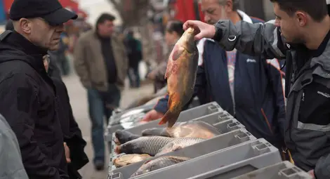 Никулденският шаран поне с 40% по-скъп