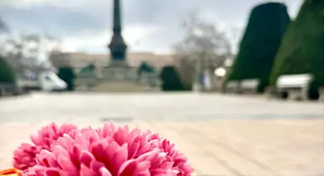 Снимка: Пресцентър Снимка: Пресцентър