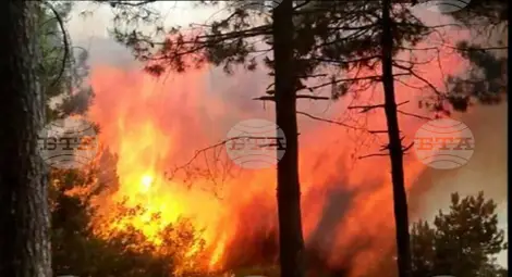 Снимка: БТА