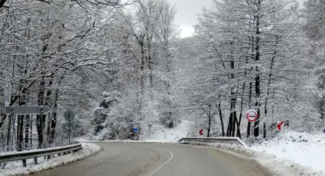 Жълт код за силен вятър и снеговалеж утре в Русе и областта