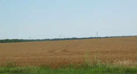 Пускат на търг 2400  декара държавни ниви