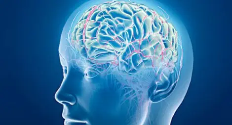 Колко вида интелект може да притежава човек? Колко вида интелект може да притежава човек?